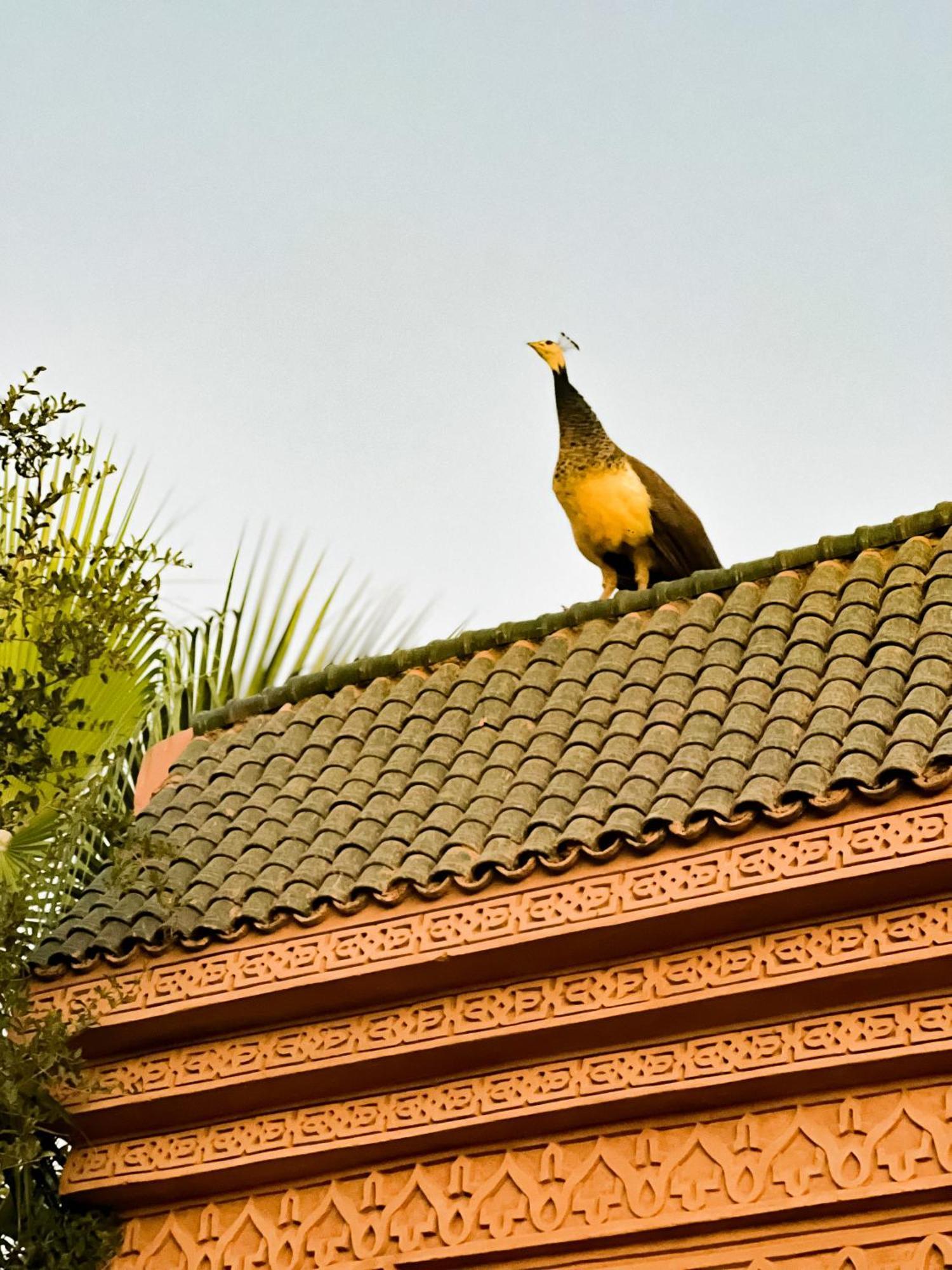 Guest House Qodwa Sidi Abdallah Ghiat Dış mekan fotoğraf